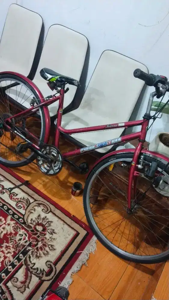 Polygon sierra size 26 inch