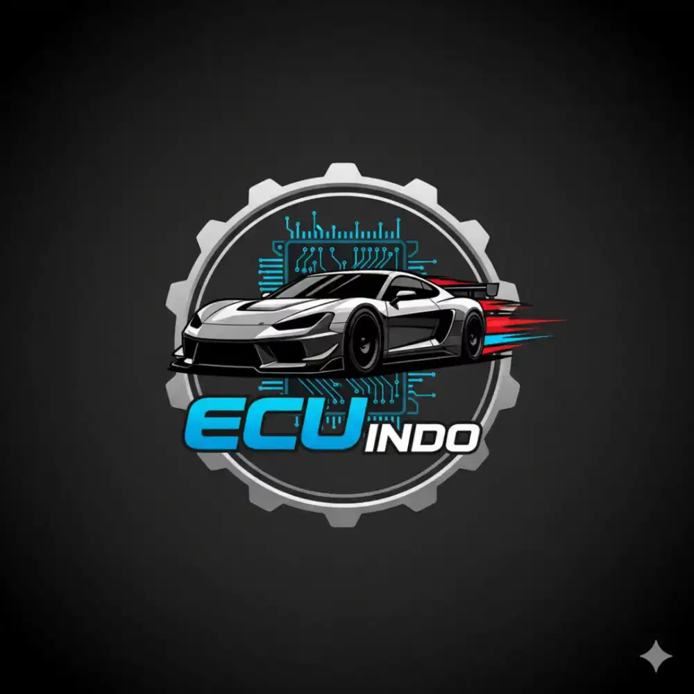 ECU INDO Service Repair ECU BMW Modul ABS Modul Kunci BMW All Series