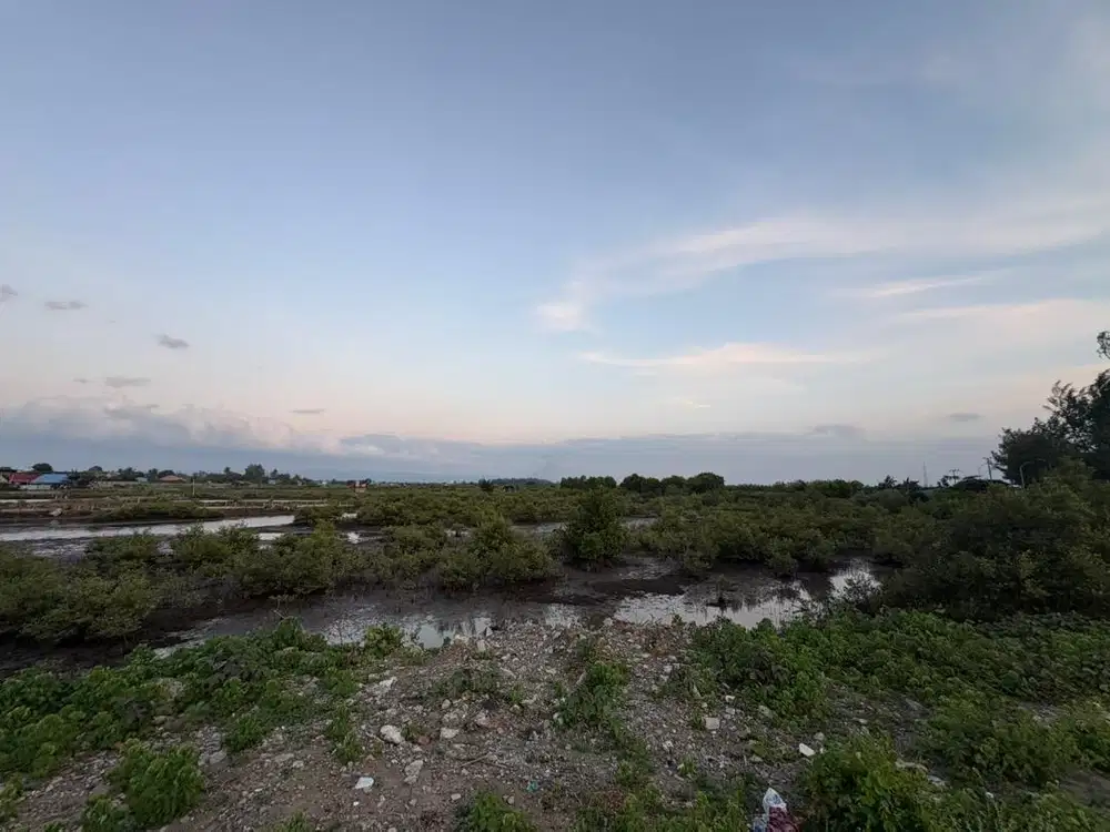 Dijual tanah 4.000 meter samping jalan utama