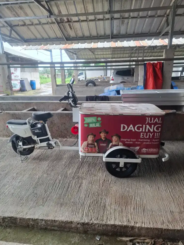 Gerobak Sepeda Listrik Untuk Usaha