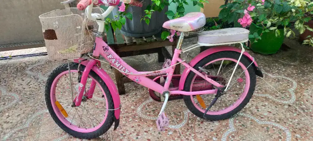 Jual sepeda famili  rp. 300.000