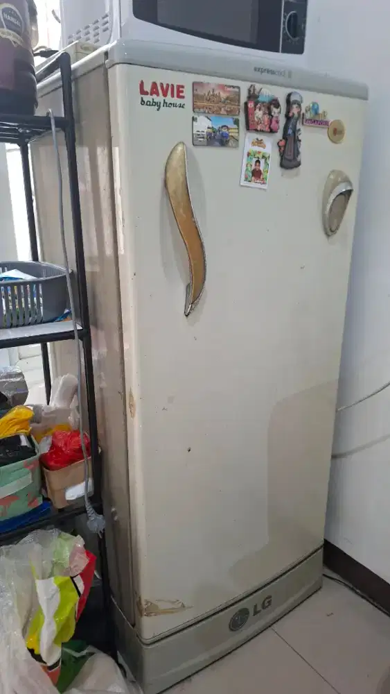 Kulkas LG Expresscool 1 Pintu