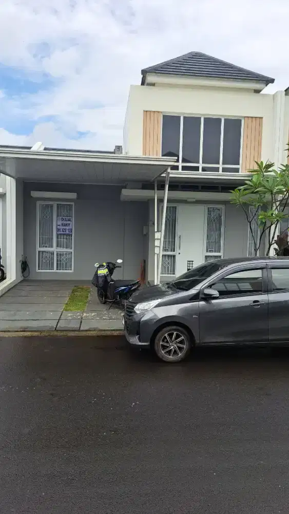 Dijual cluster canna paramount petals