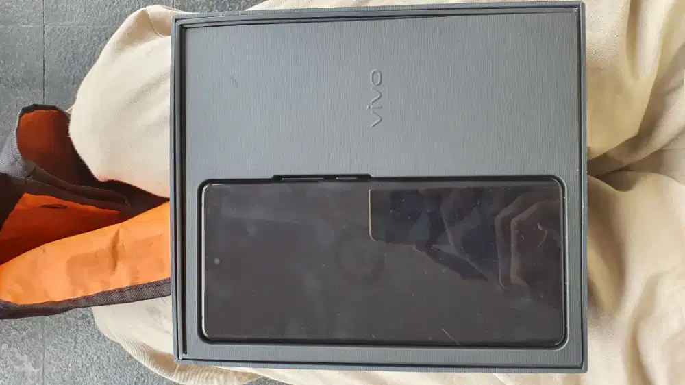 Vivo X100 Pro 12/512Gb