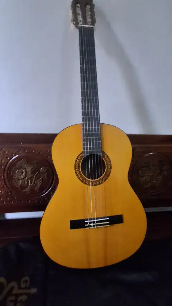 wts gitar yamaha c315