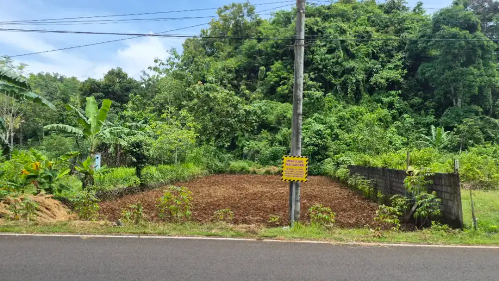 Dijual cepat Tanah SHM Strategis Pinggir jalan raya pantai Krakal