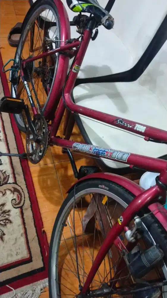 Polygon sierra size 26 inch