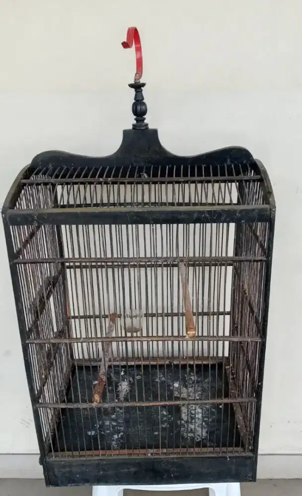 Kandang no 2 layak pakai