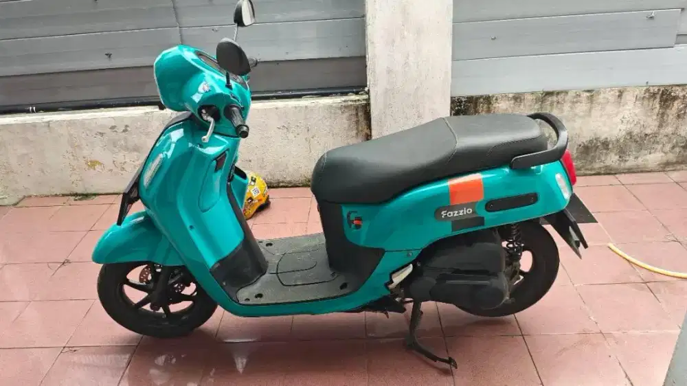 Fazzio 2022 lengkap noken