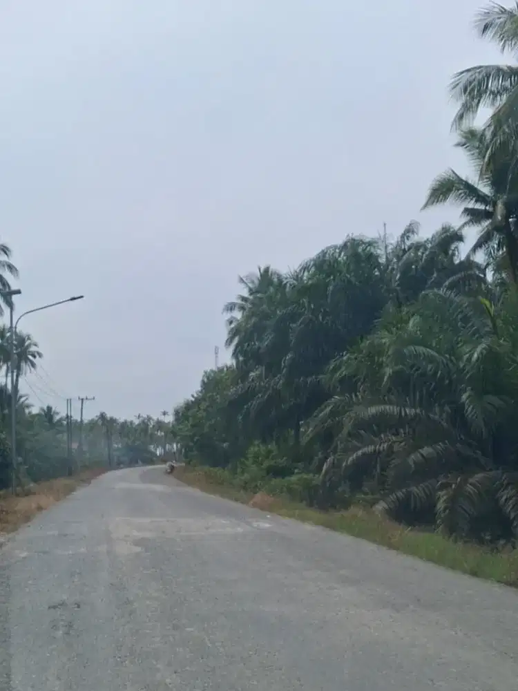 Tanah dijual pinggir jalan. Jalan petung arah ke tanjung jumlai