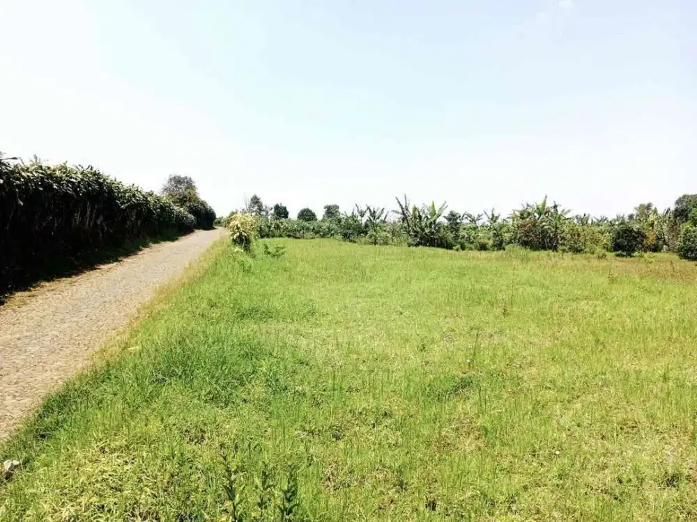 Tanah Dijual Murah View Gunung di Bulukerto Bumiaji Batu Malang