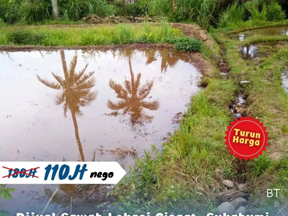 Dijual tanah sawah Lokasi cisaat sukabumi