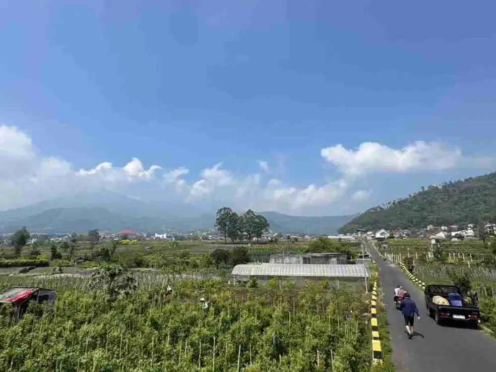 TANAH SISIR KORA BATU