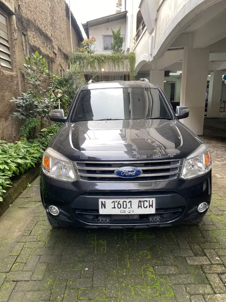 Badak Evi mencari majikan baru