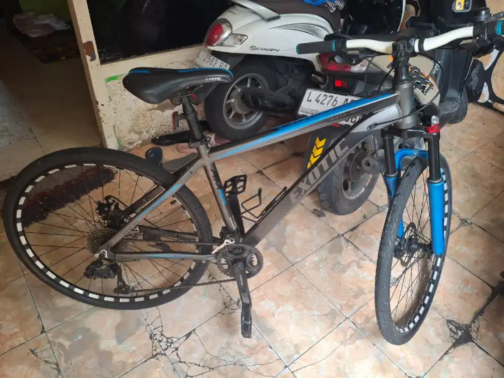 Sepeda mtb exotic