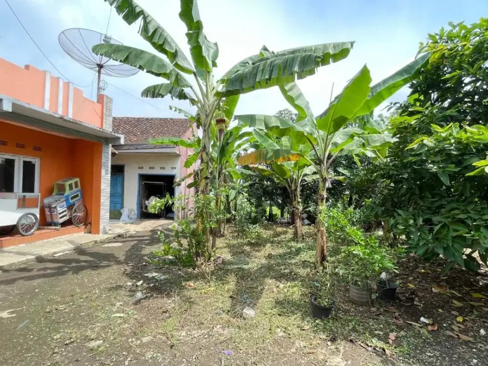 Dijual Tanah di Pusat Kota, Murah, Legalitas SHM