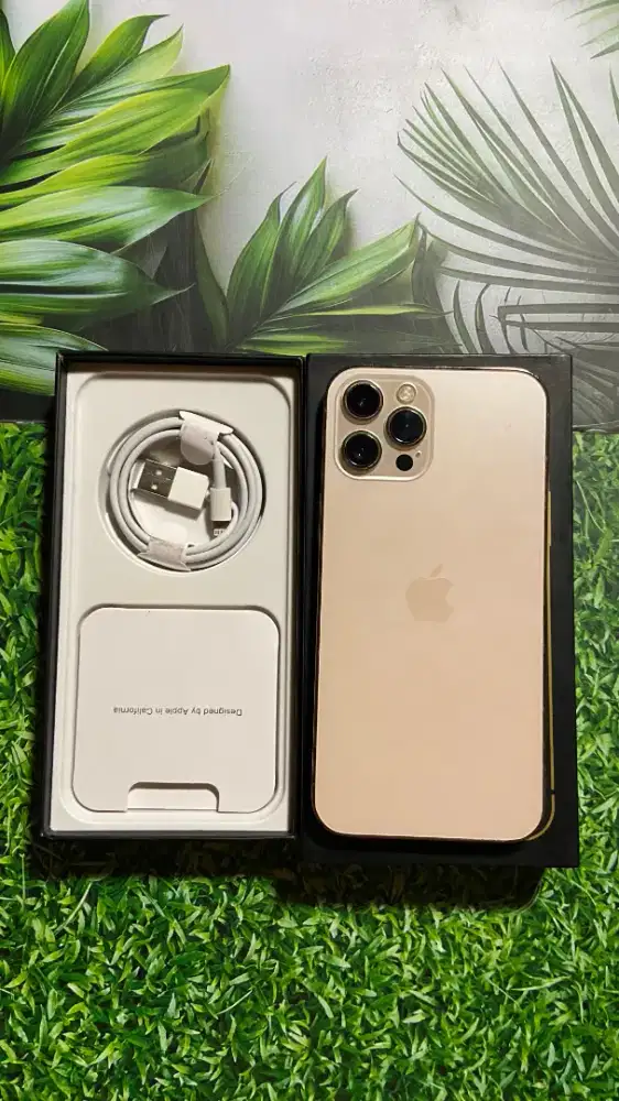 IPHONE 12 PROMAX 128 INTER ALLOP