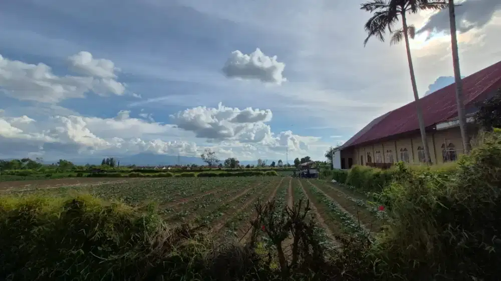 TANAH  DIJUAL DI KAB.KARO HARGA NEGO