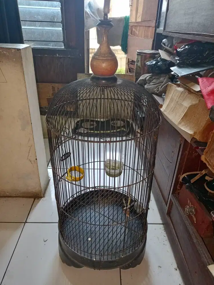 Kandang burung Lovebird