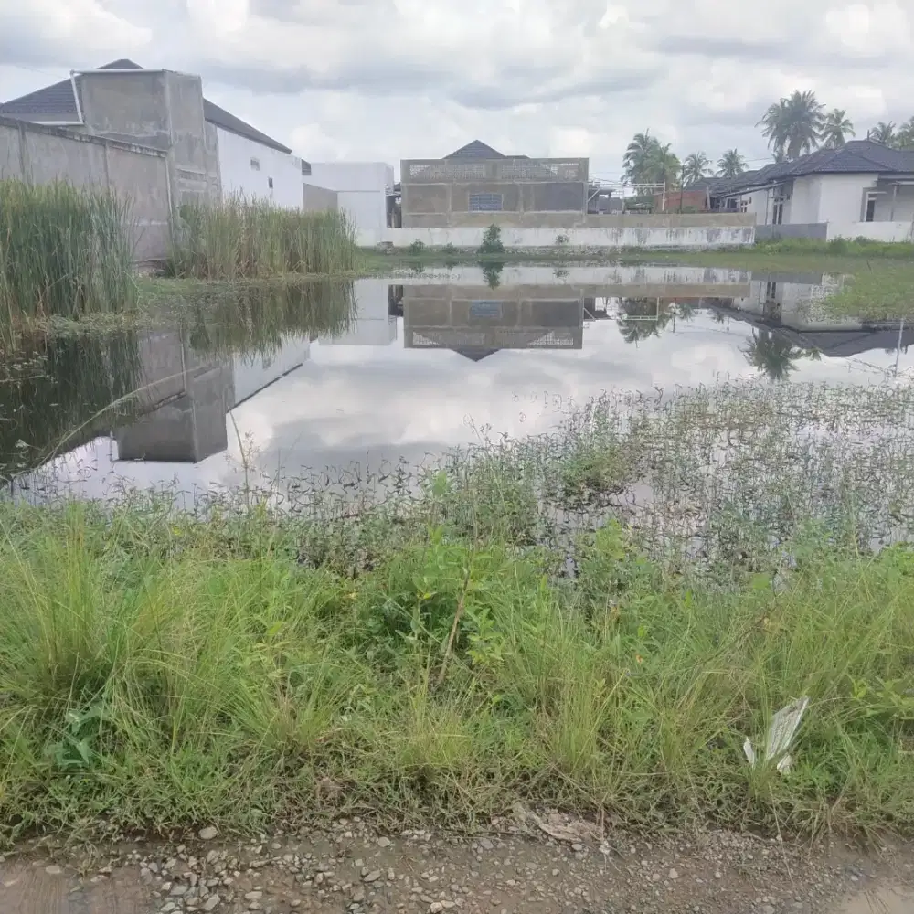 Jual Cepat. Tanah 1000 meter Area Batoh