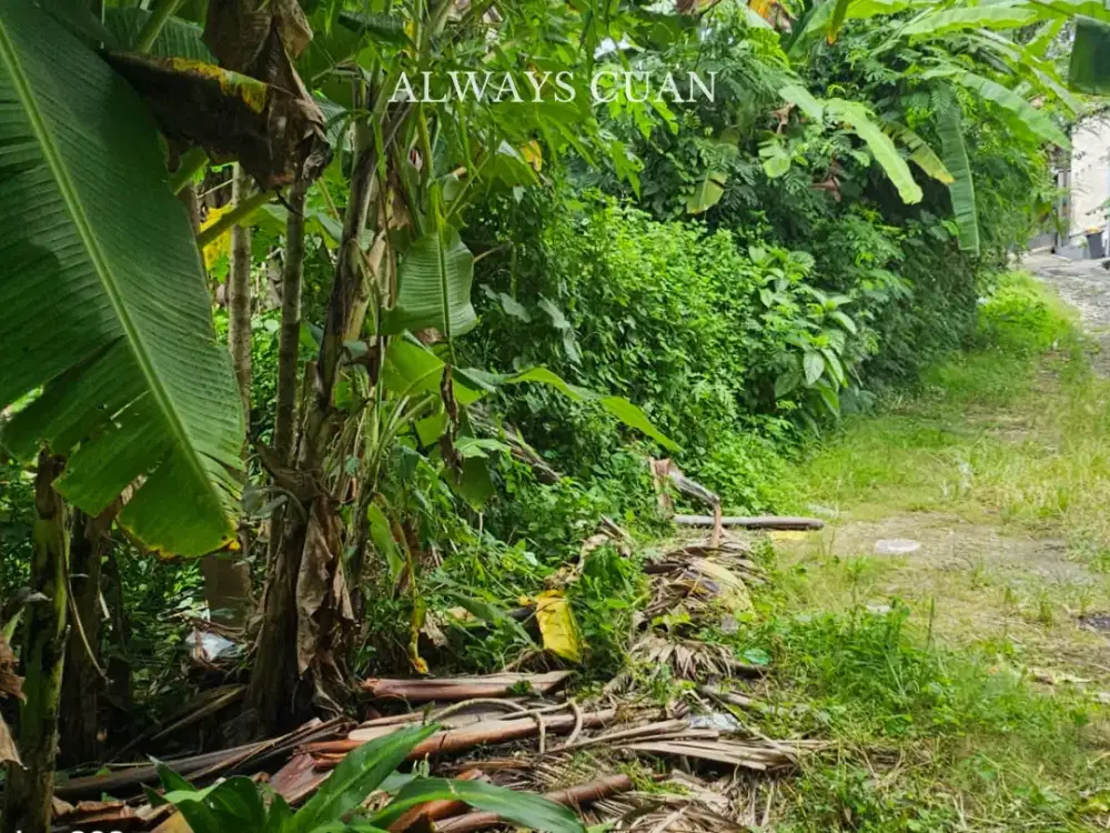 Tanah Datar dengan View Sungai Lokasi Umalas Dijual