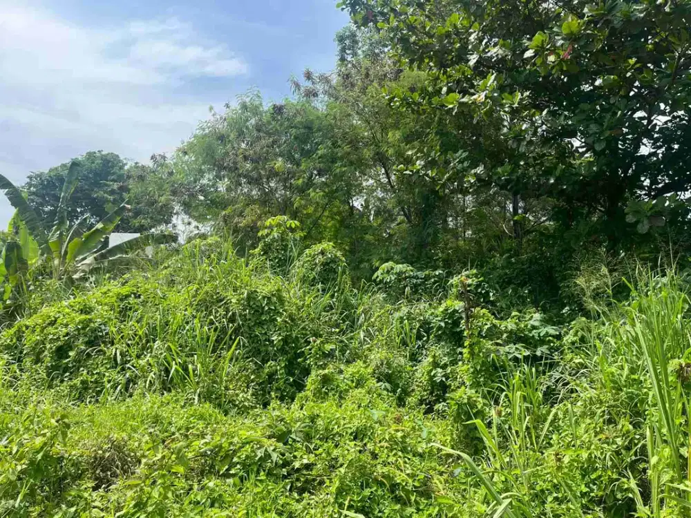 dijual tanah 2,2 HA lokasi strategis di depan ICE BSD tangerang