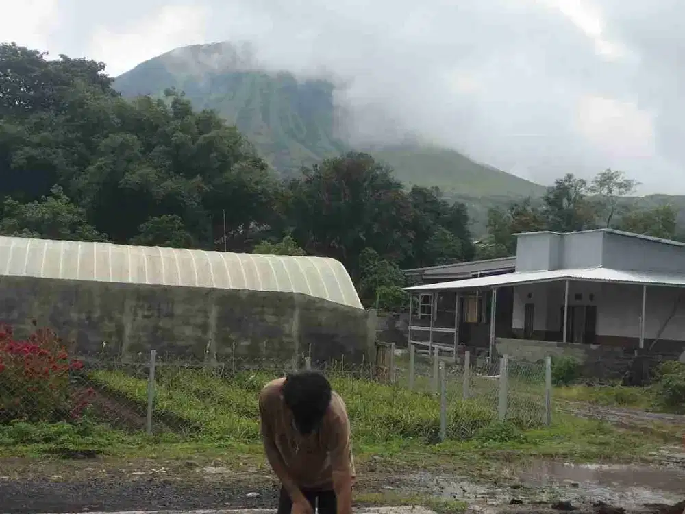 Tanah Ciamik gunung lokon