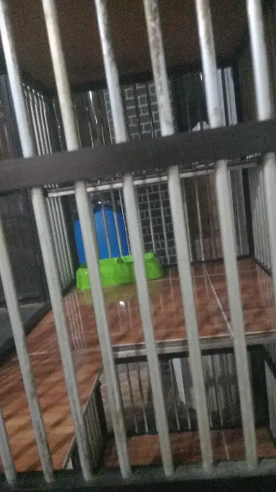 Kandang kucing 2 lantai