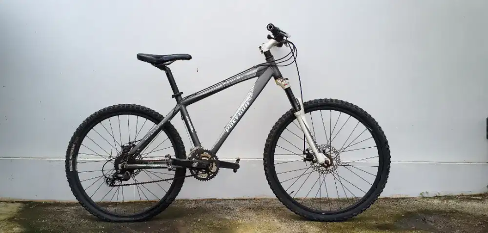 Sepeda Polygon Xtrada 4.0