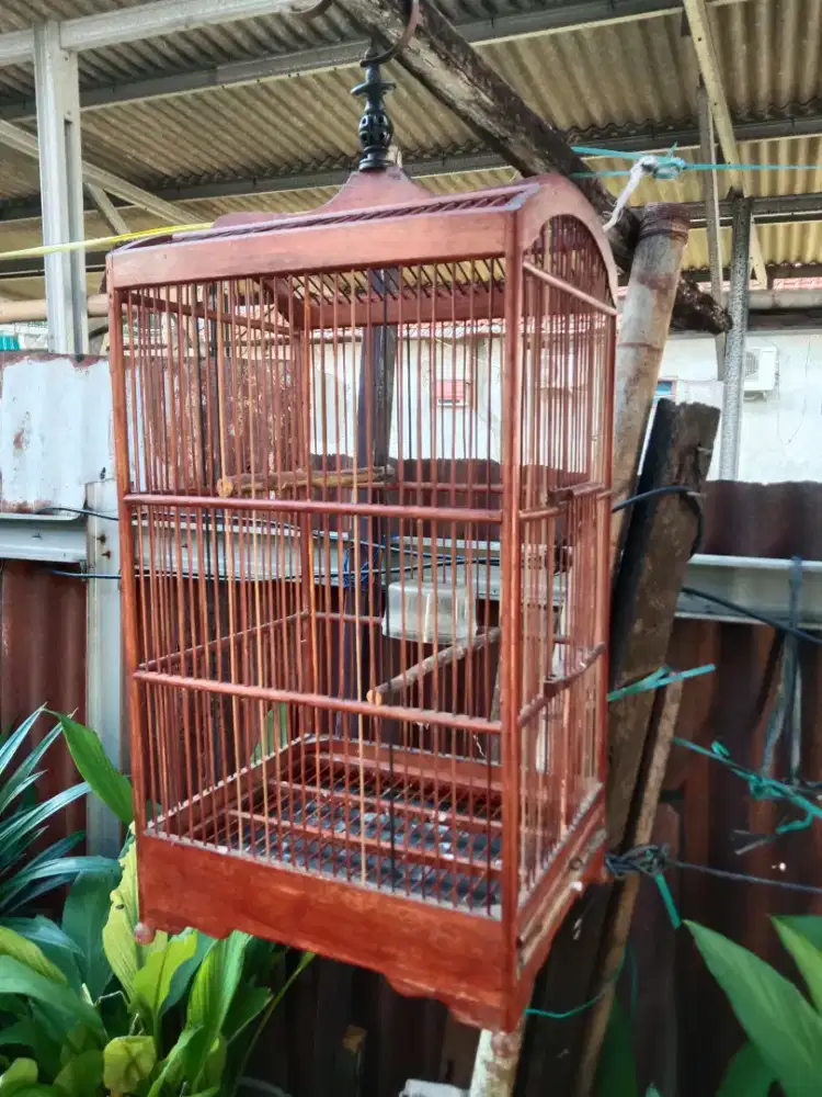 Kandang kotak pernisan