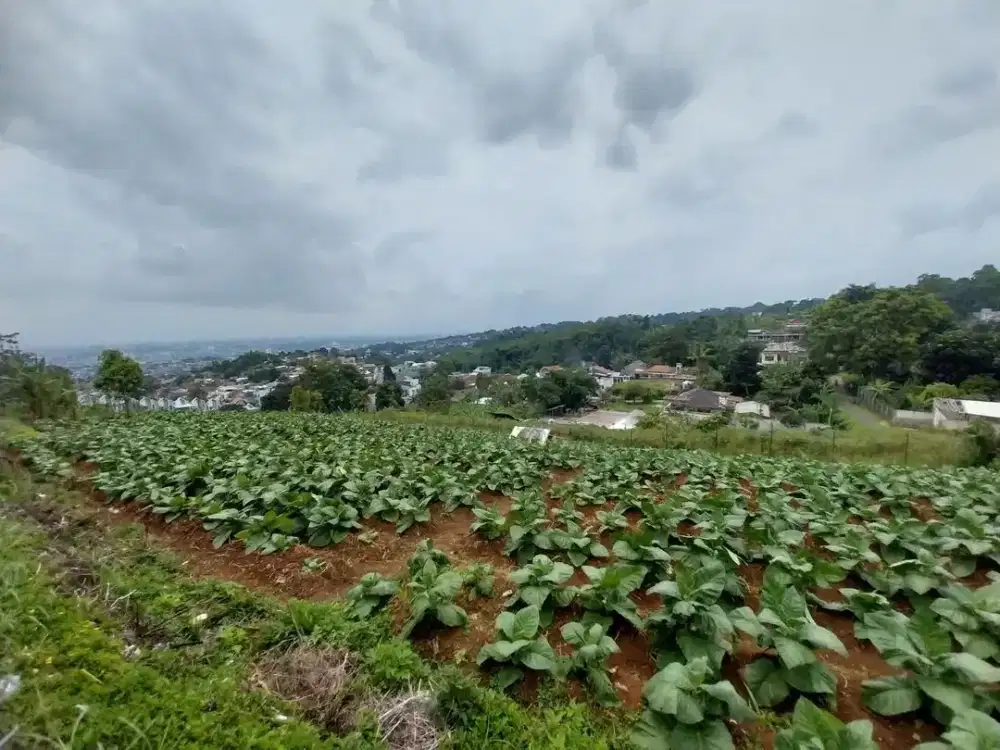 Dijual Tanah Cimeunyan Padasuka