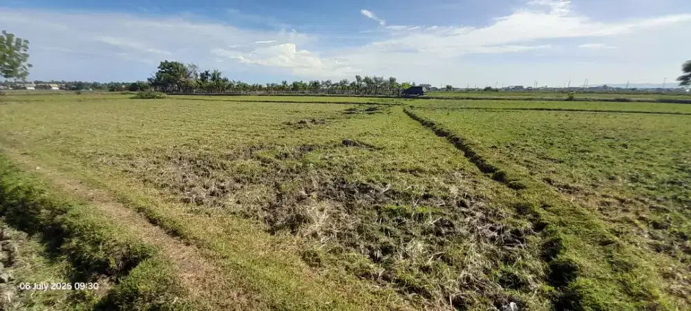 Dijual tanah/sawah di Desa Blang Kiree, Kec. Darul Kamal, Aceh Besar