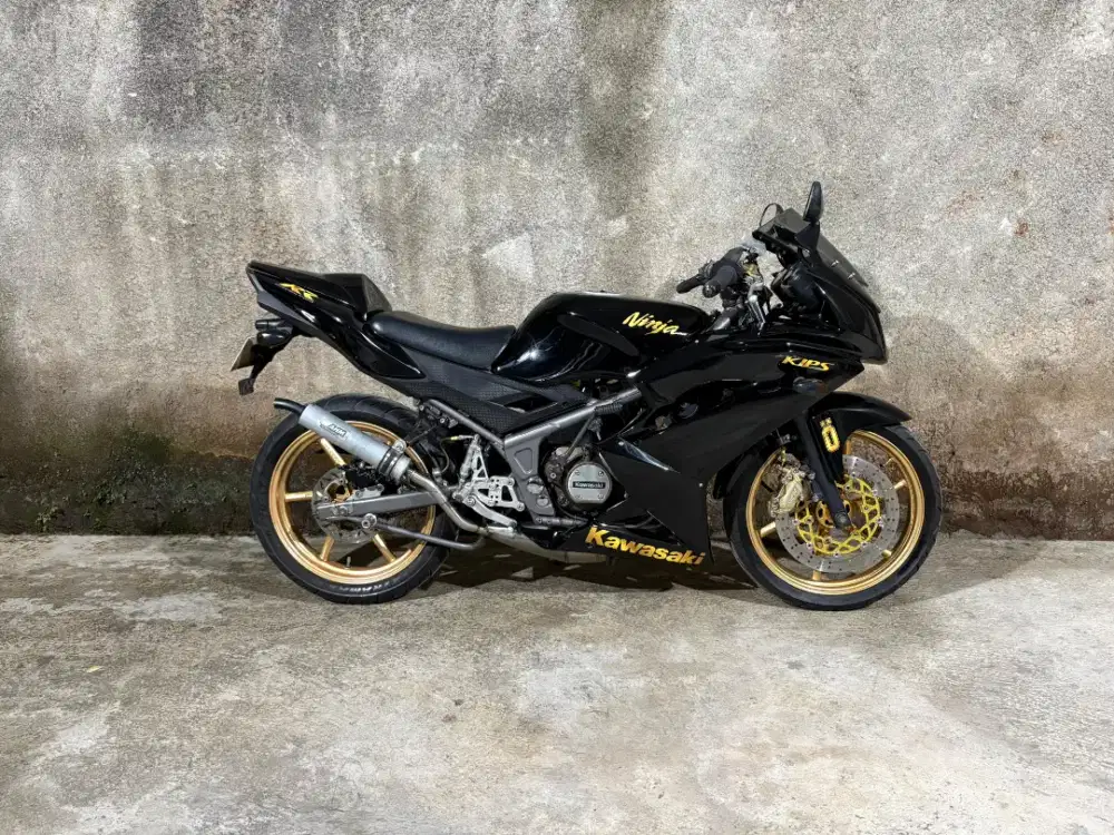 Ninja RR New 2015