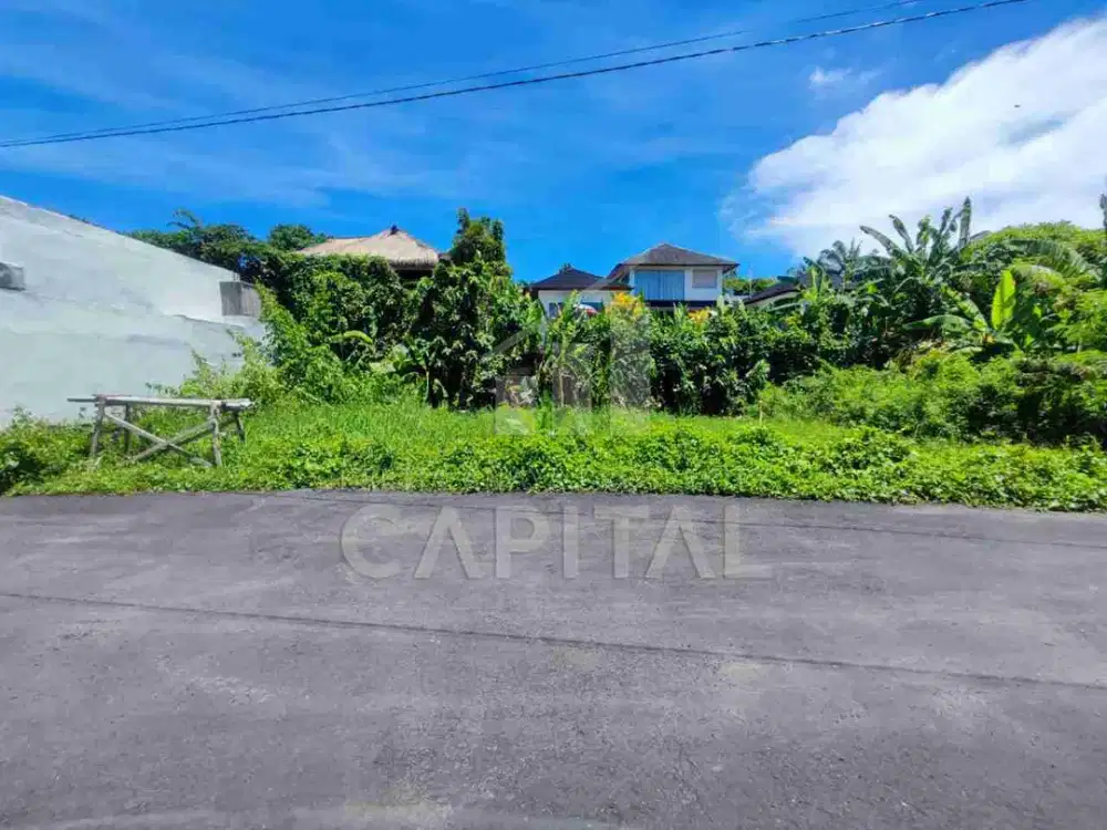 Tanah Canggu Siap Bangun - Lokasi Emas, Harga Di Bawah Pasar!