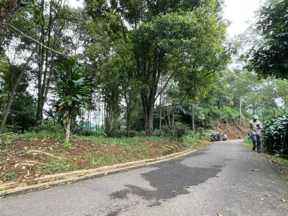 Dijual Murah Tanah Kebun Cengkeh Daerah Dingin Bojong Purwakarta