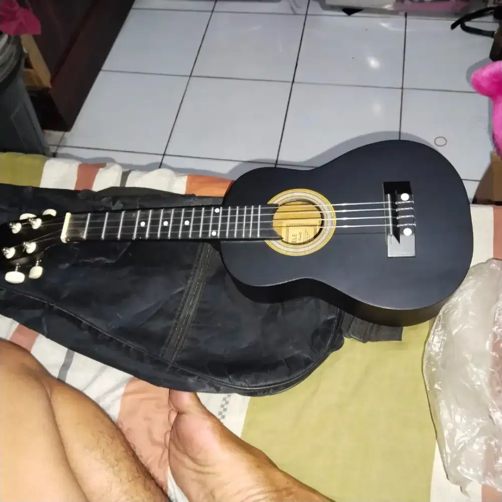 Ukulele 4 senar
