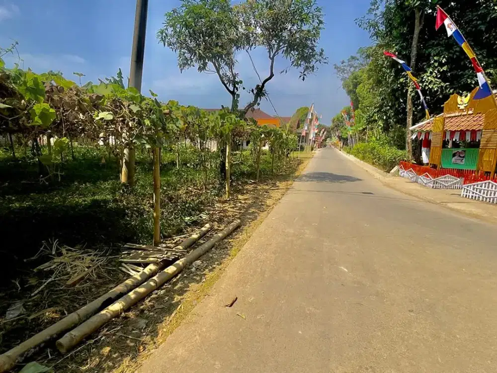 Dijual Murah Tanah Kebun Dekat Pemukiman Warga Darangdan Purwakarta