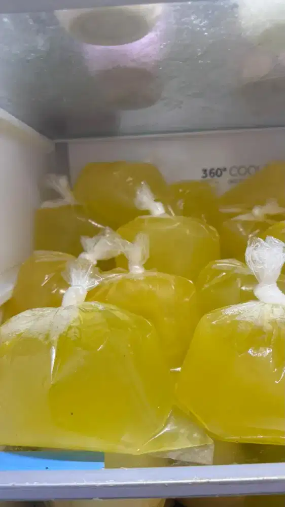 Putih telur mentah Fresh