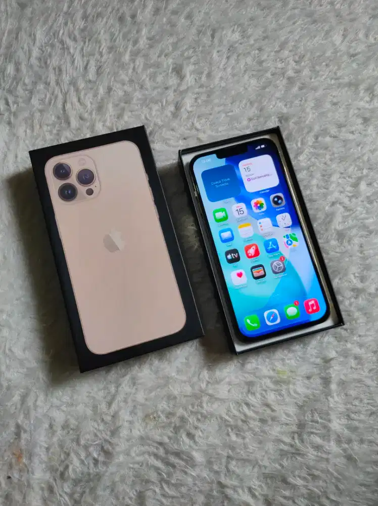 Iphone 13 Pro max 1TB