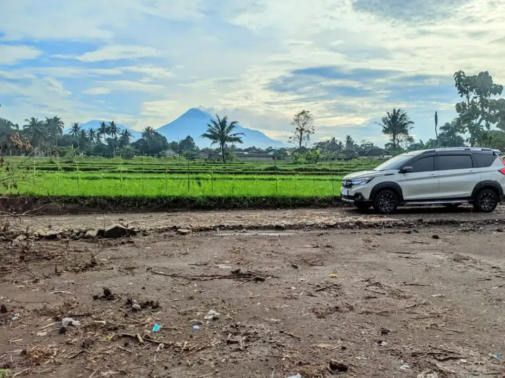 Tanah Pingir Sawah Di Pandowoharjo Mlati Sleman