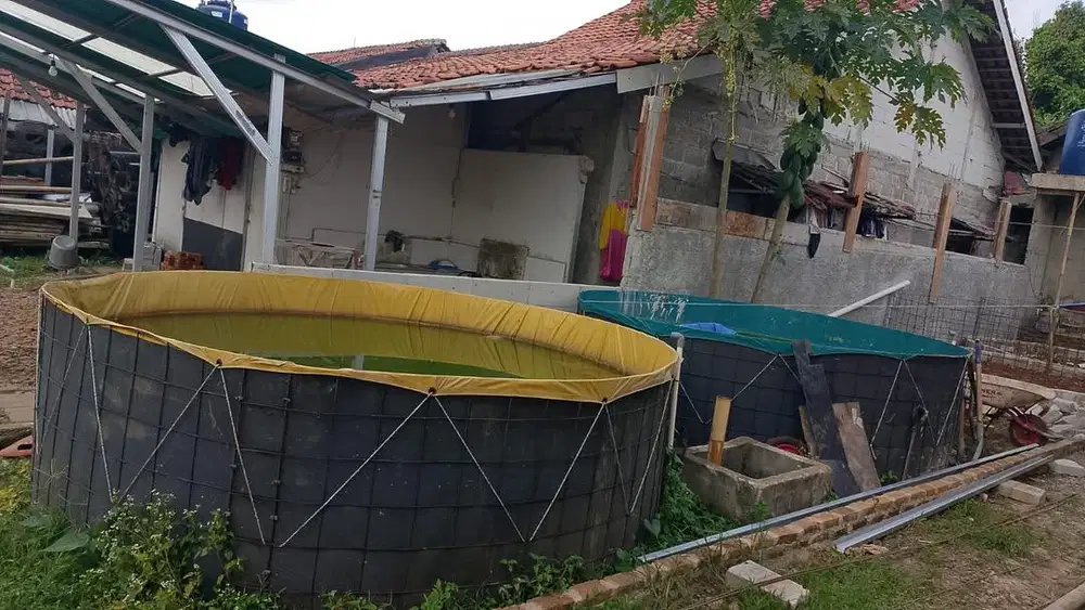 Kolam Terpal Diameter 3 Meter Untuk Budidaya Ikan, DLL