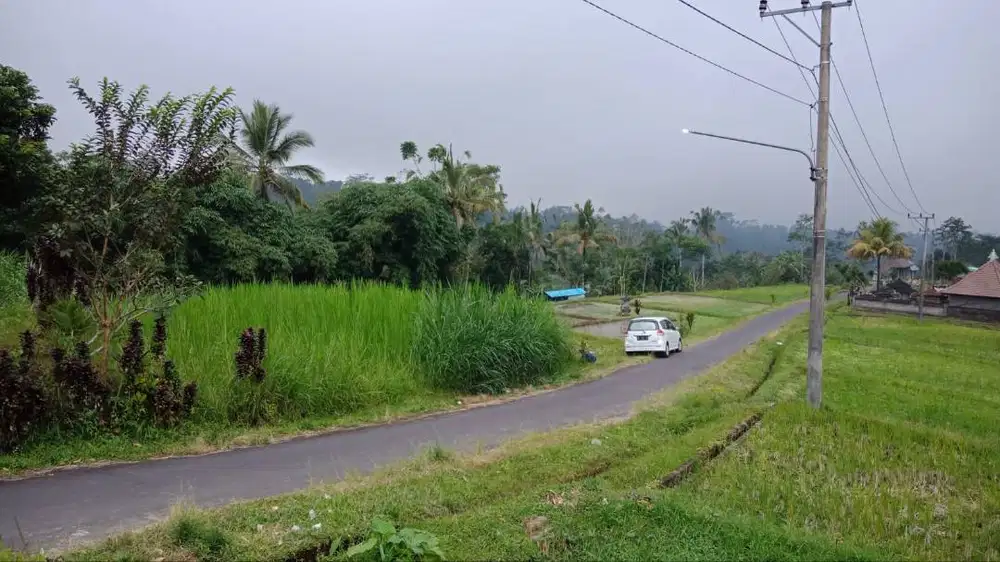 [DIJUAL] Tanah (sawah) Ubud-Tegalallang, Gianyar, Bali