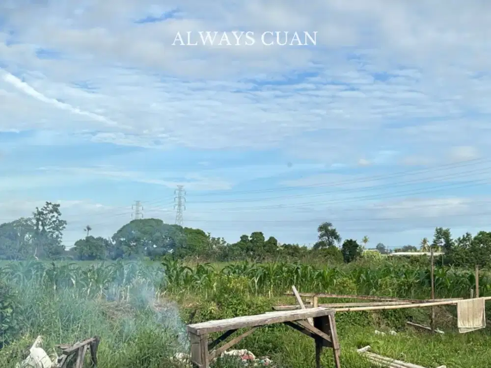 Tanah Lokasi Buduk Banjar Kaja Dijual