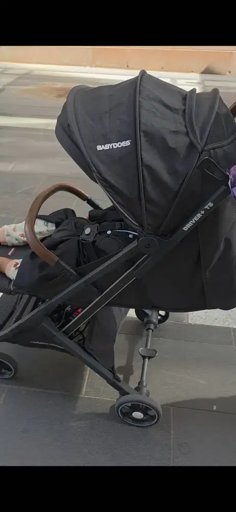 Stroller Babydoes Driver + TS