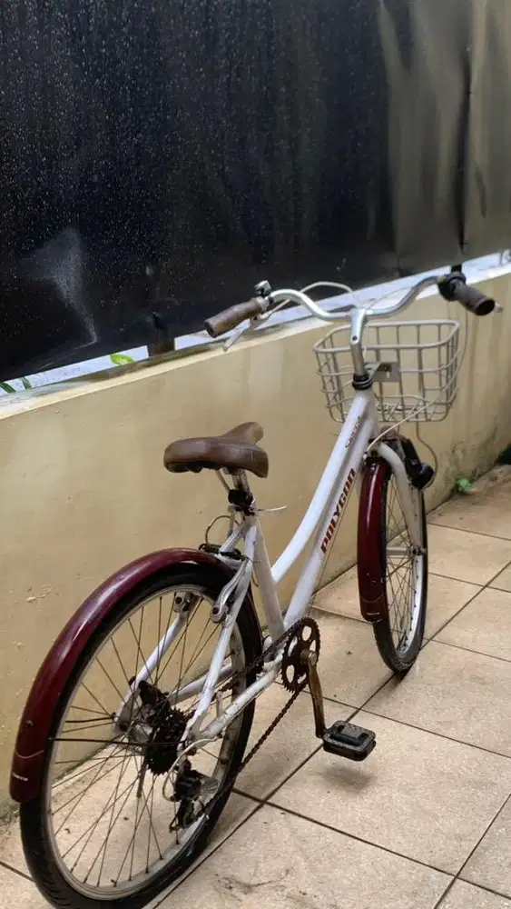 Polygon Sierra Second