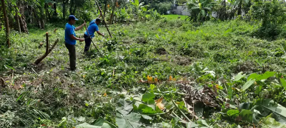 Tanah murah barat ringin Jambon dekat gereja Lidwina Gamping Sleman