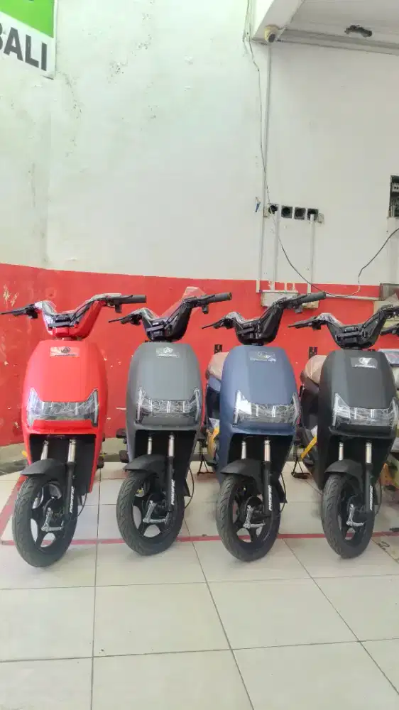 Sepeda Listrik Pacific Zeckroom 300