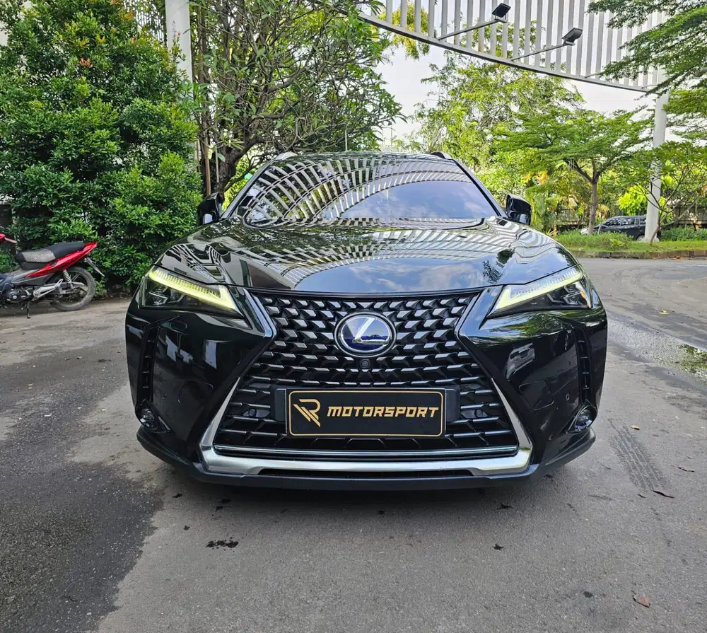 (Electric) Lexus UX300e 2021 low km record ux 300 ev