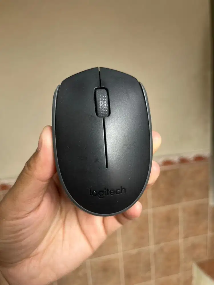 Mouse Wireless Logitech M170