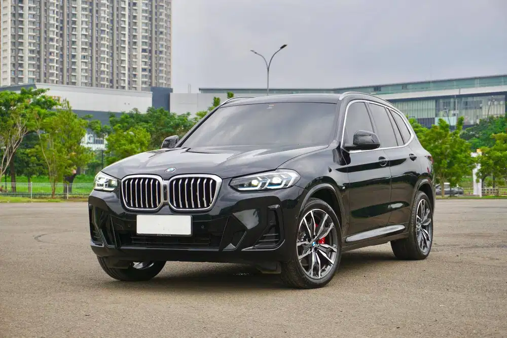 BMW X3 G01 LCI MSport  xDrive30i B48 2022